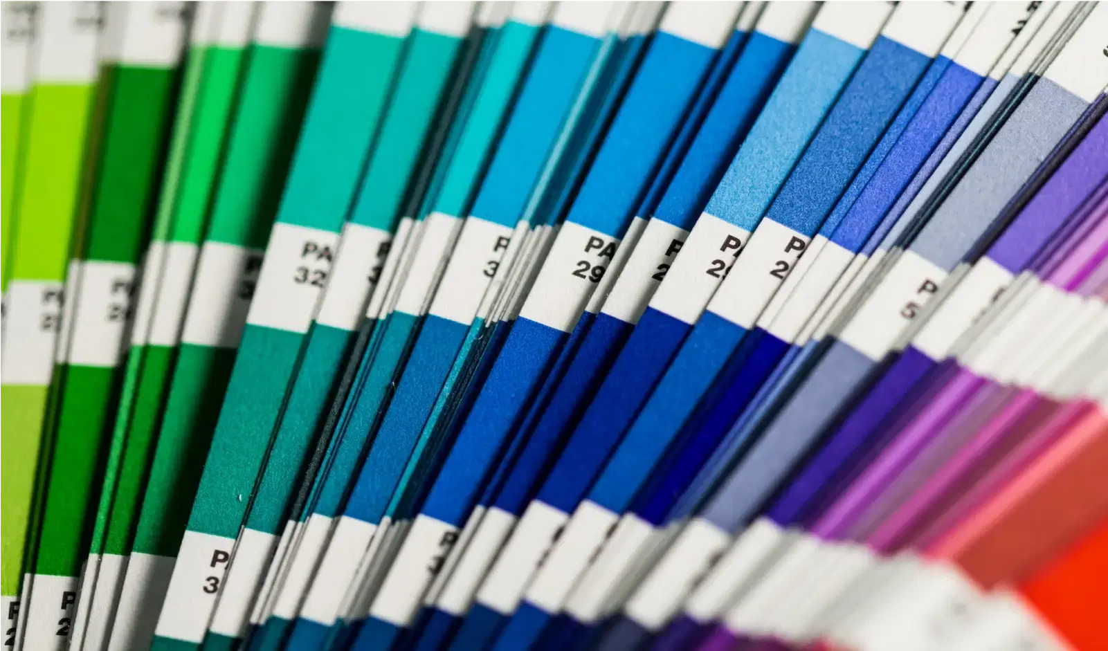 Colourful Pantone swatches