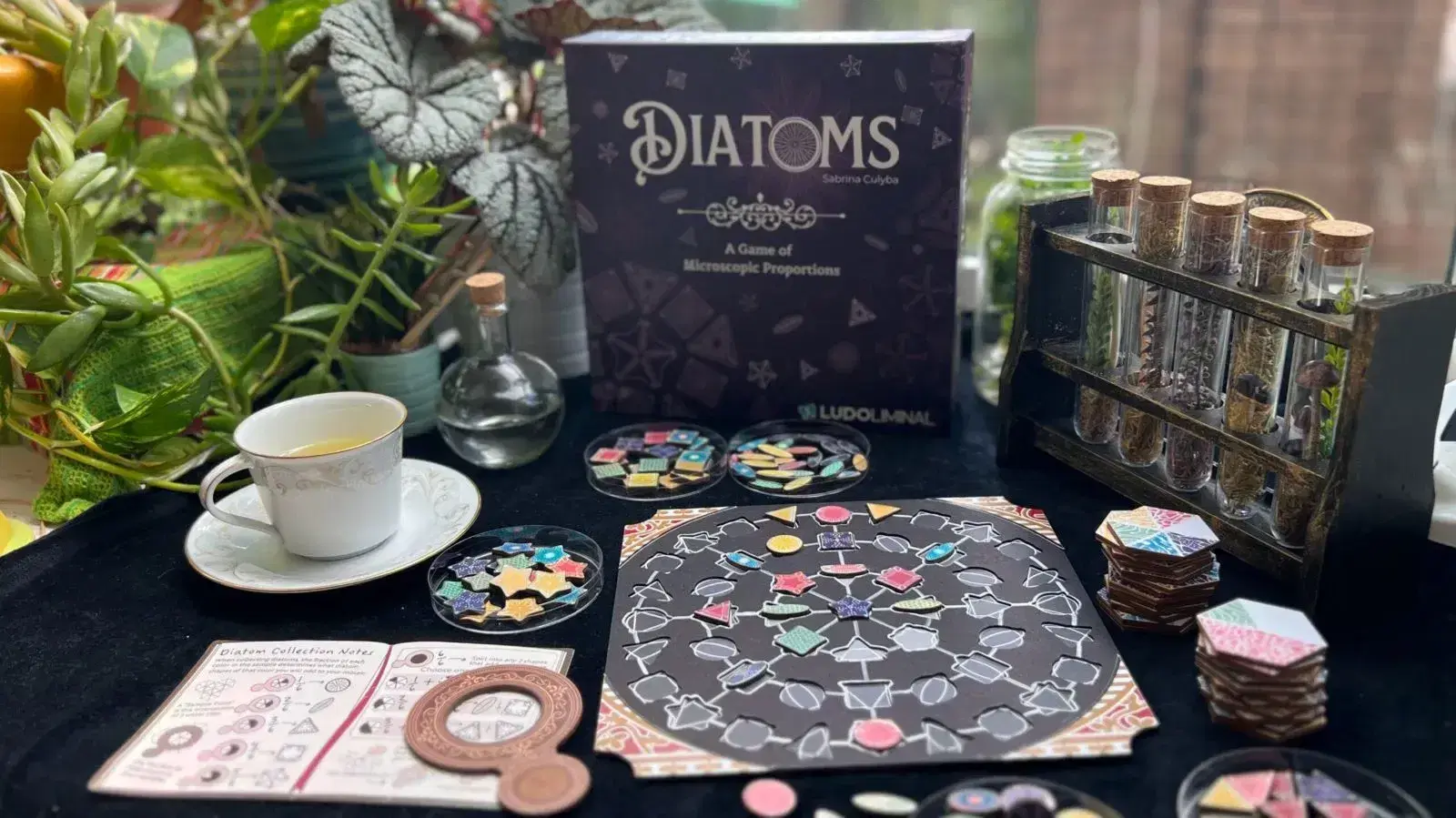 Diatoms is a cosy tile-placement game of microscopic proportions